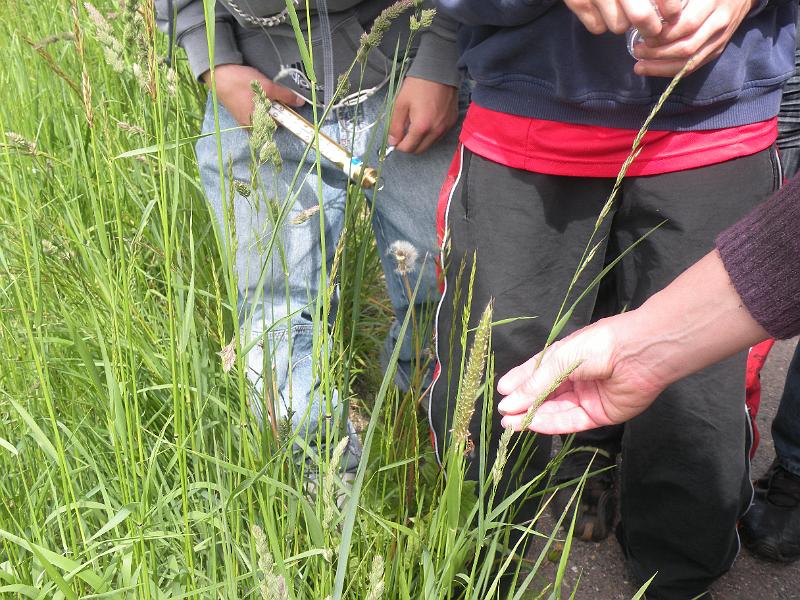 DSCN1407.JPG
