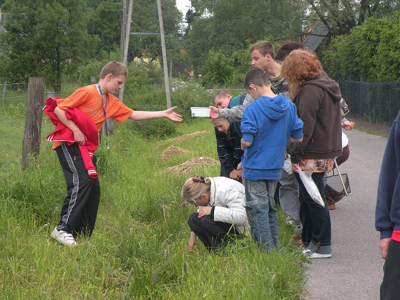 DSCN1454.JPG