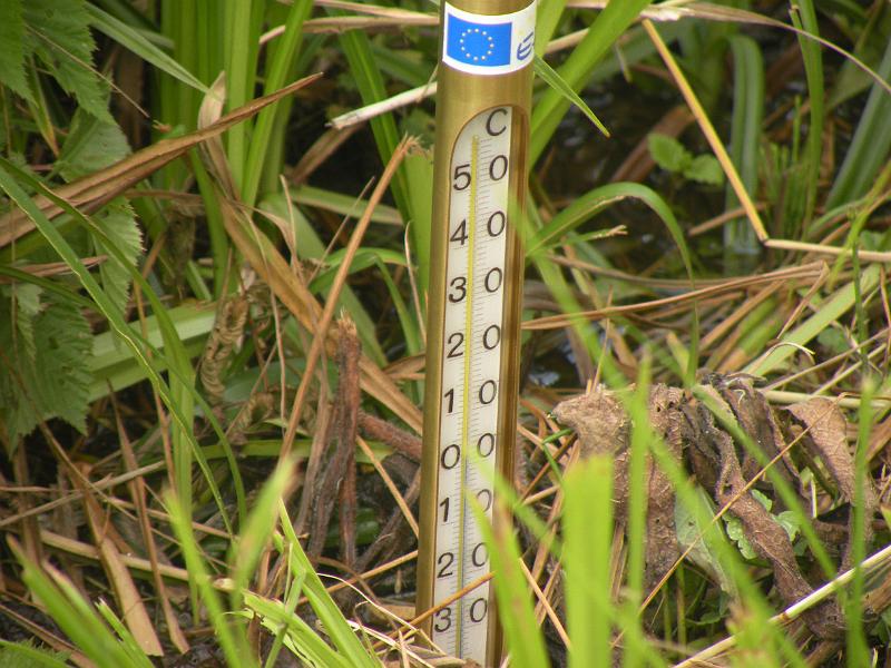 DSCN1457.JPG