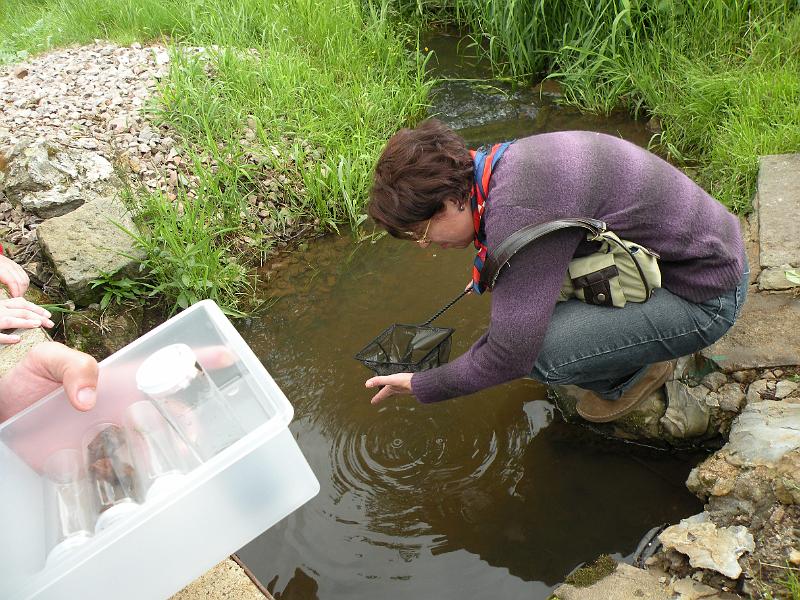 DSCN1476.JPG