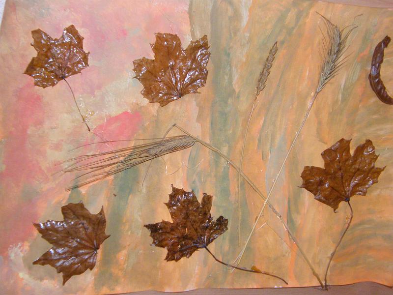 DSCF3278.JPG