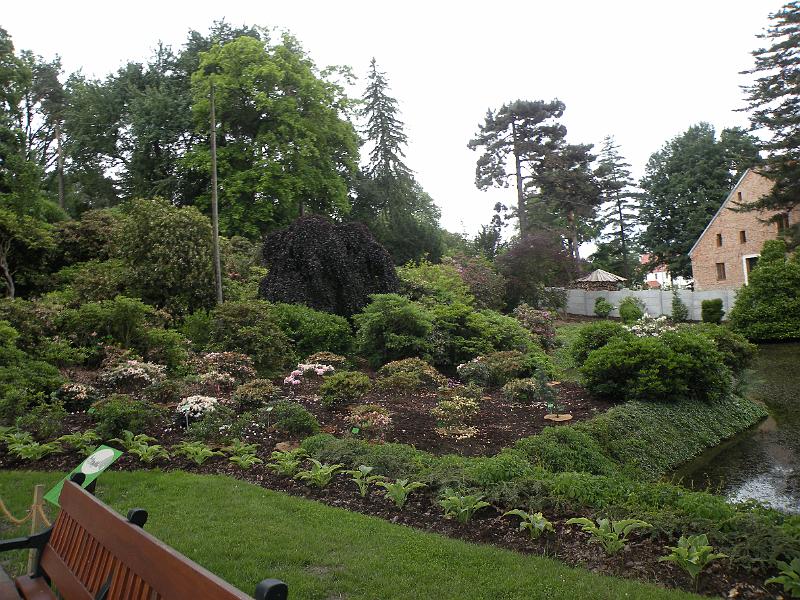 DSCN1493.JPG