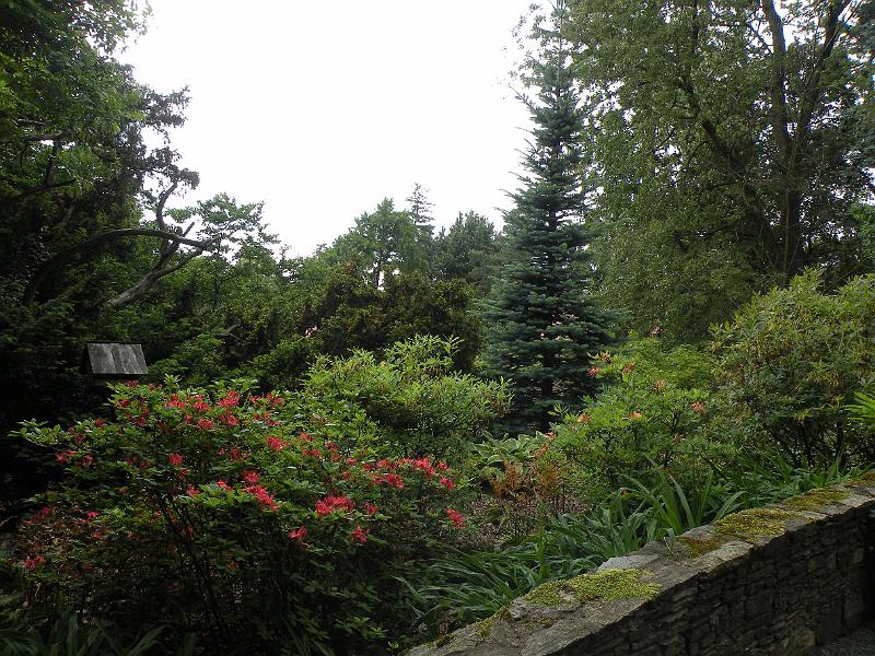 DSCN1503.JPG