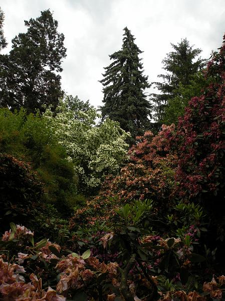 DSCN1510.JPG