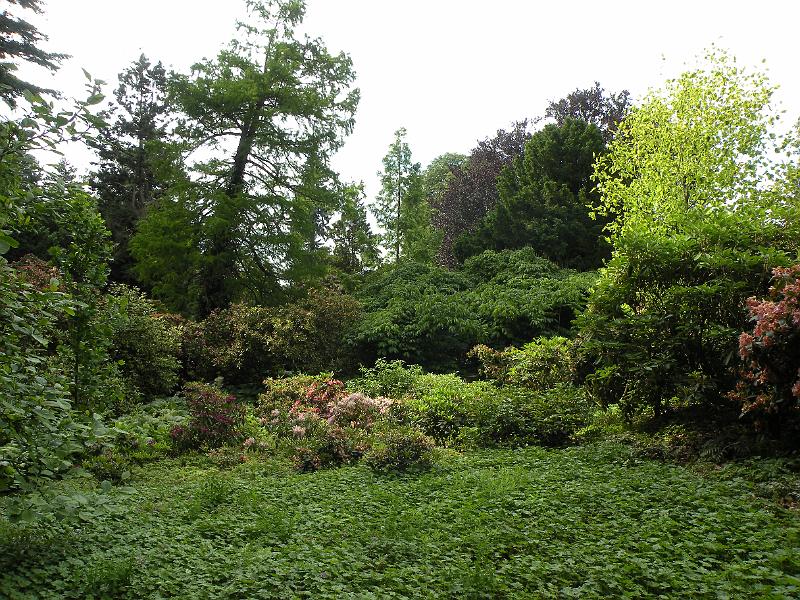 DSCN1515.JPG