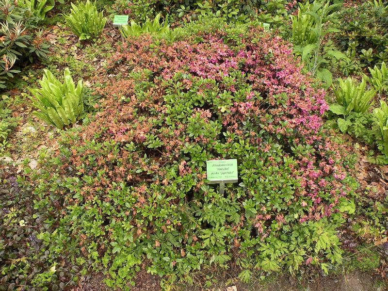 DSCN1516.JPG