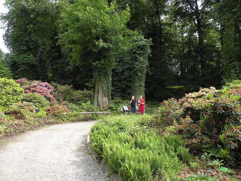 DSCN1518.JPG