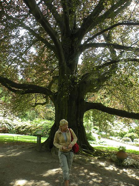 DSCN1519.JPG