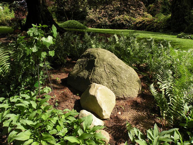 DSCN1520.JPG