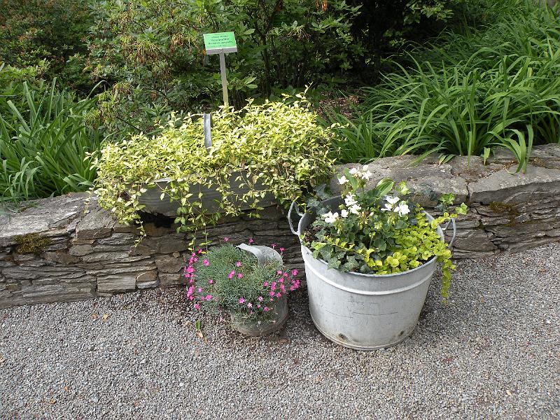 DSCN1524.JPG