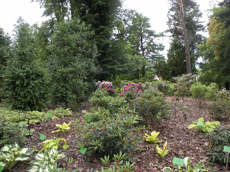 DSCN1527.JPG