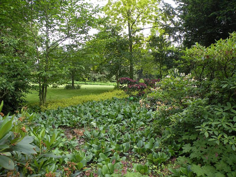 DSCN1528.JPG