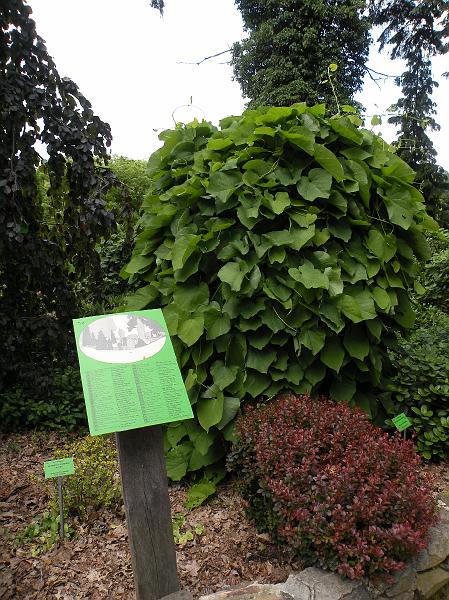 DSCN1538.JPG