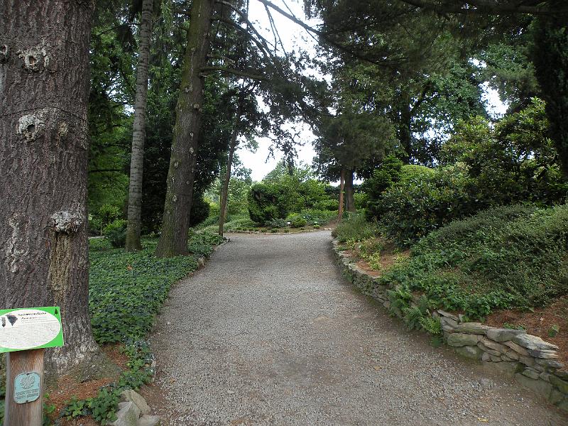 DSCN1539.JPG
