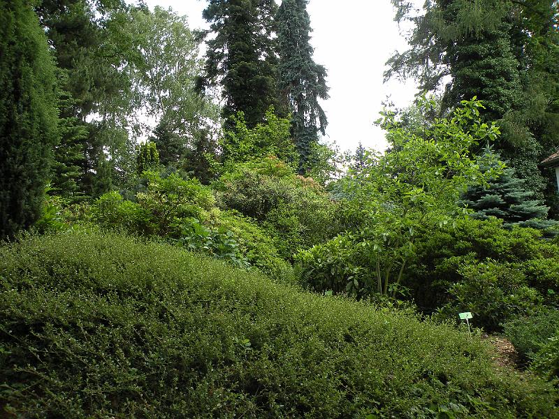 DSCN1540.JPG