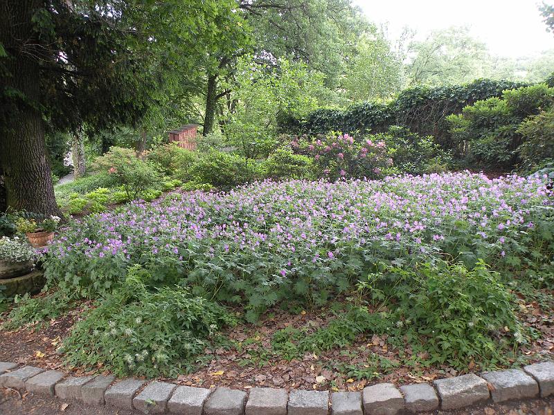 DSCN1541.JPG