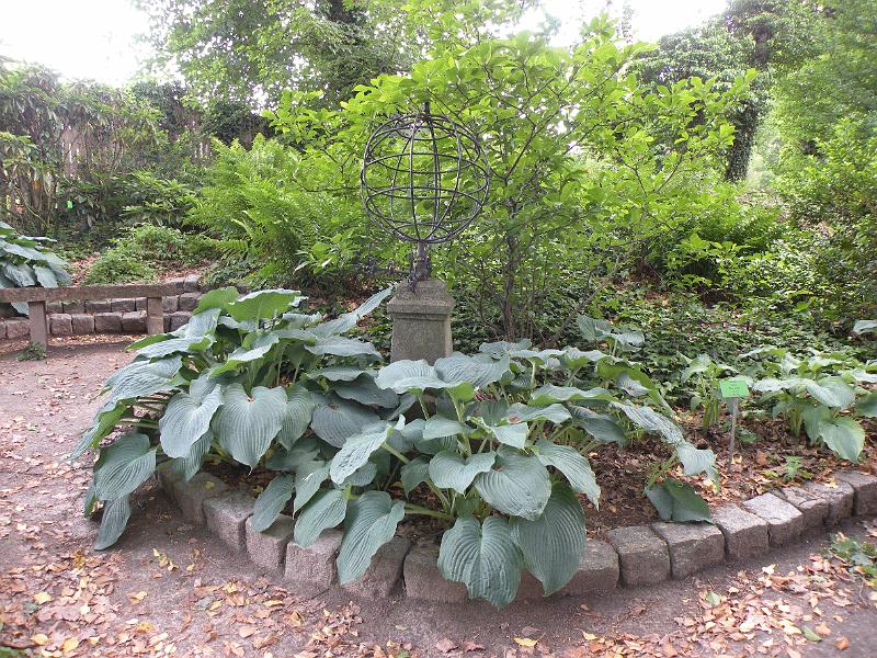 DSCN1542.JPG