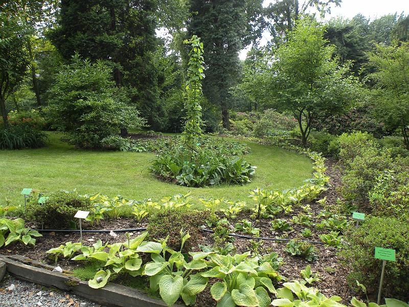 DSCN1544.JPG