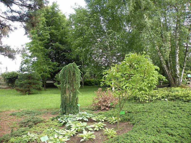 DSCN1545.JPG