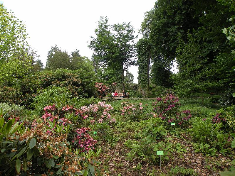 DSCN1551.JPG