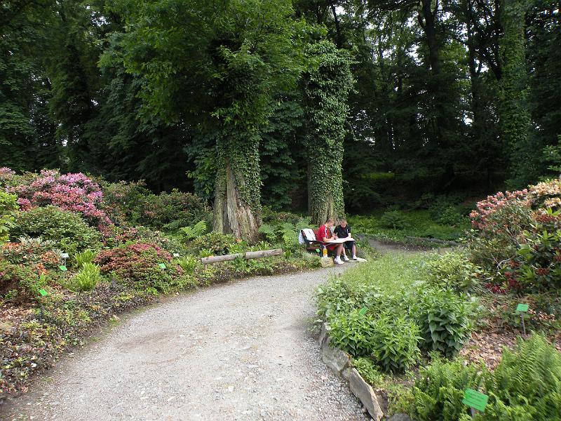 DSCN1552.JPG