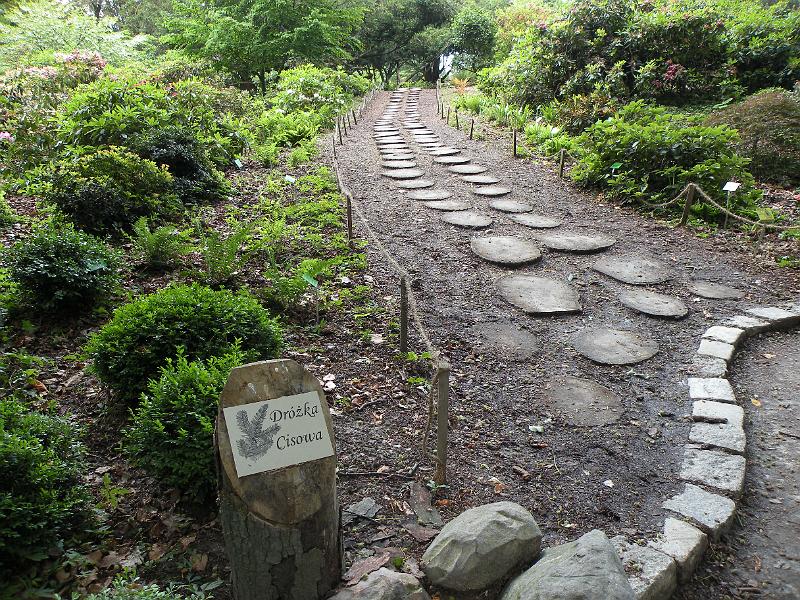 DSCN1556.JPG