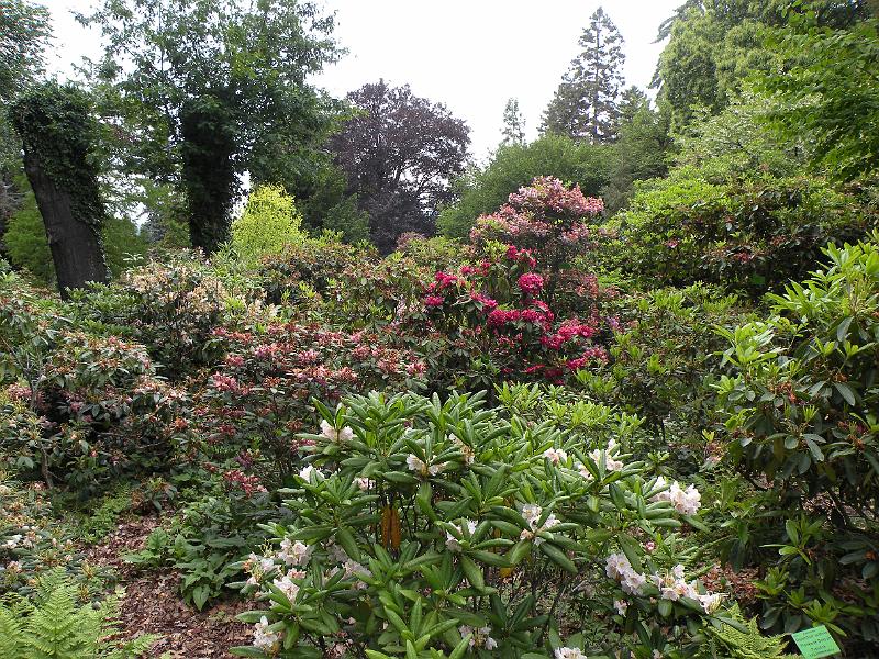 DSCN1558.JPG