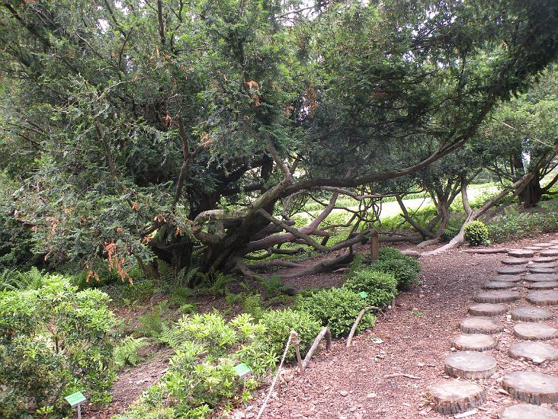 DSCN1560.JPG