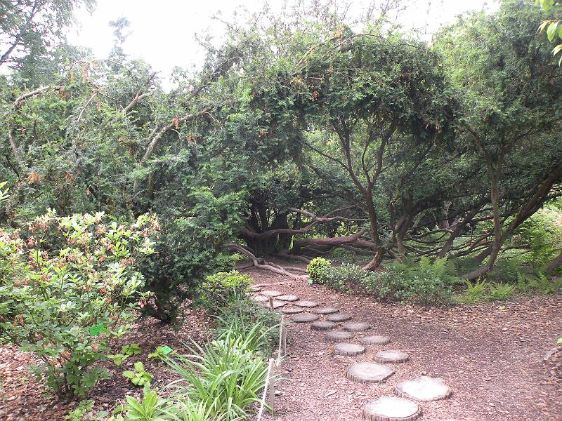 DSCN1562.JPG