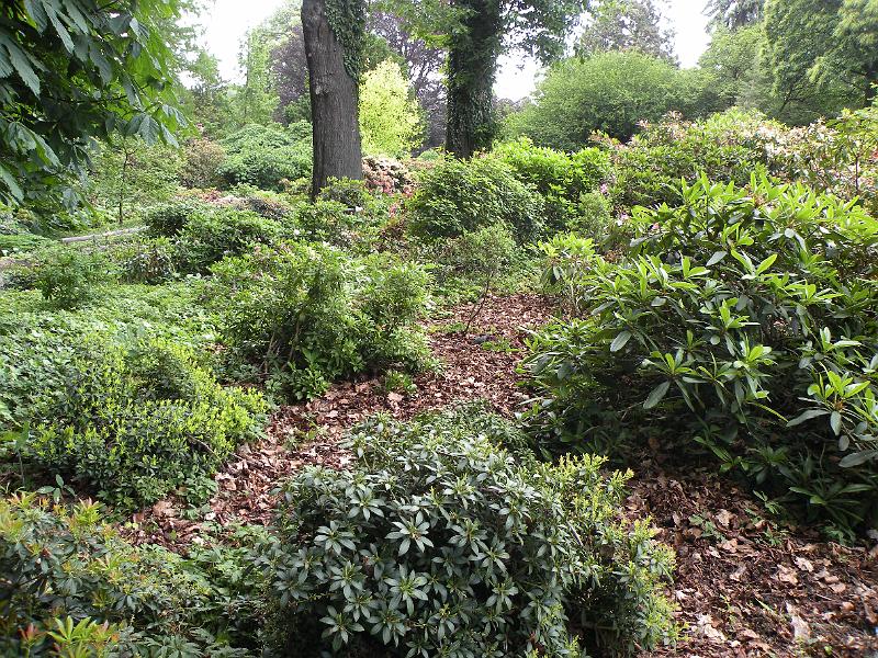 DSCN1563.JPG