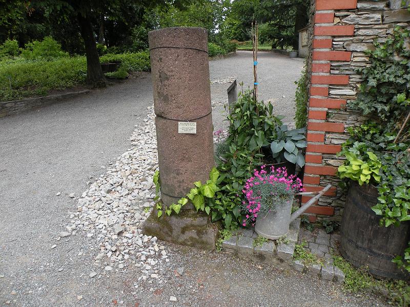 DSCN1566.JPG
