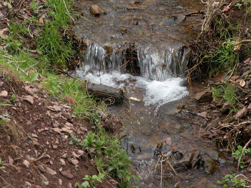 DSCN1015.JPG