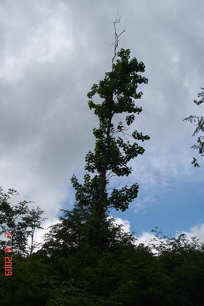 DSC03360.JPG