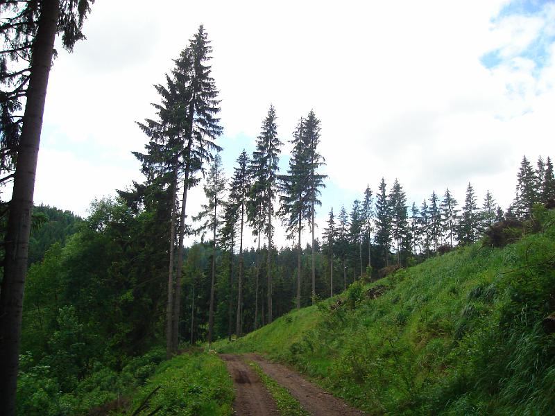 DSC03811.JPG