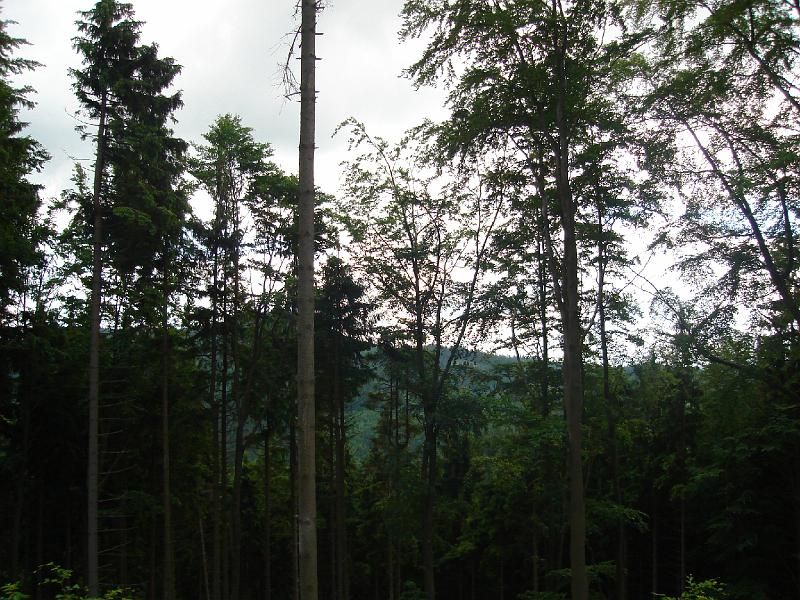 DSC03824.JPG
