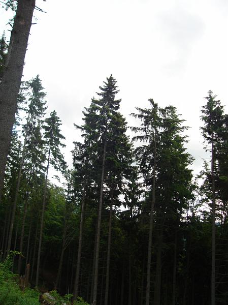 DSC03825.JPG