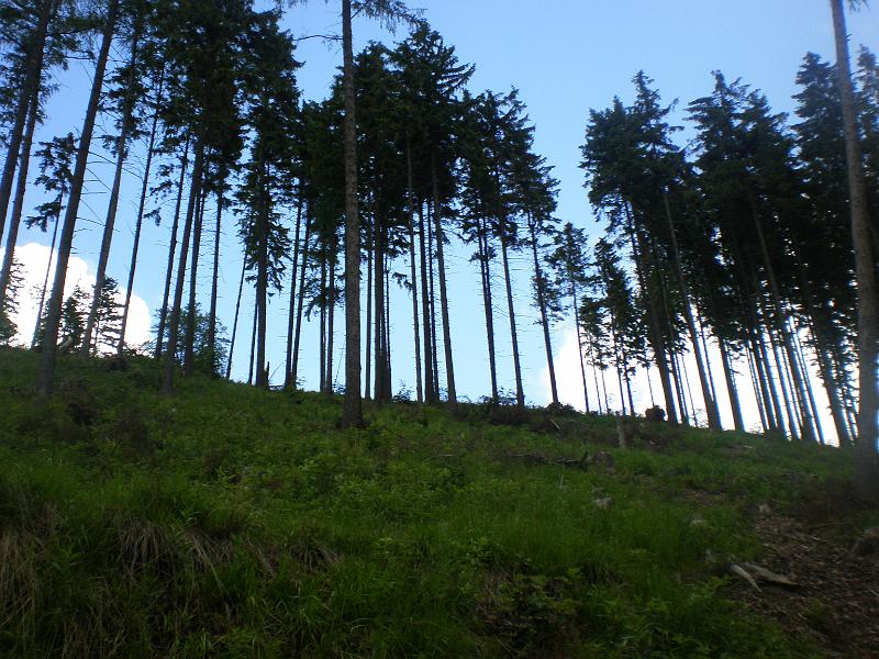 P6020101.JPG