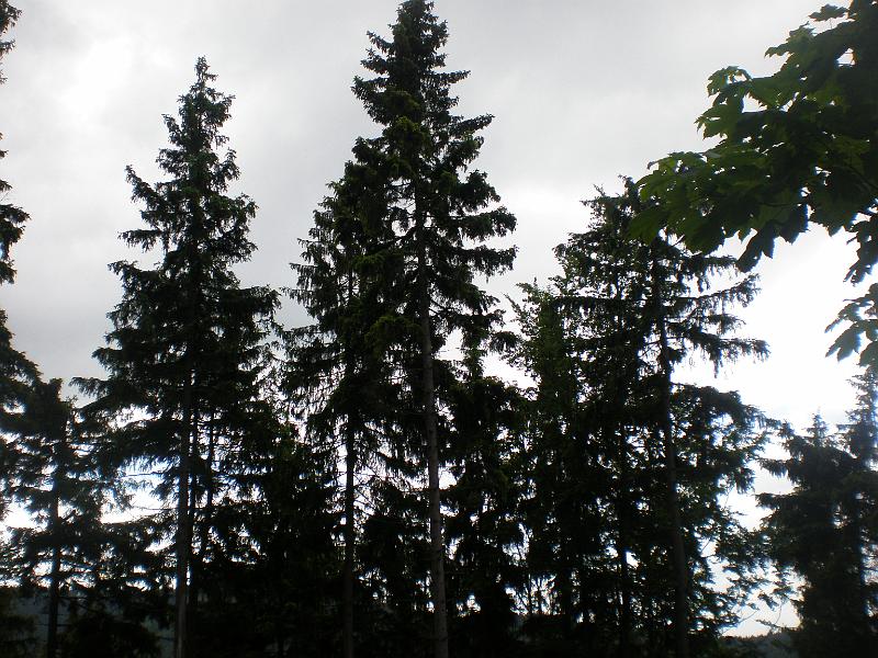 P6020105.JPG