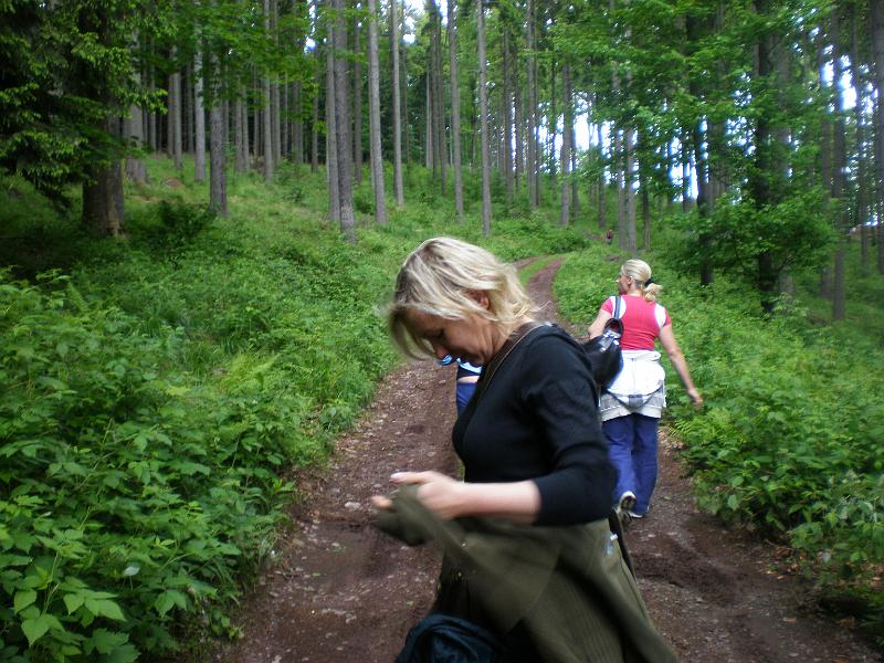 P6020112.JPG