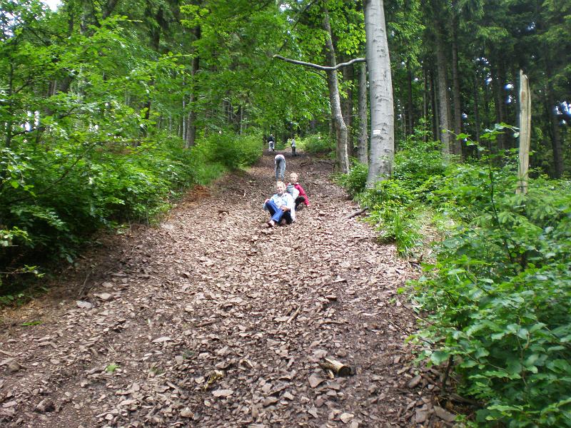 P6020117.JPG