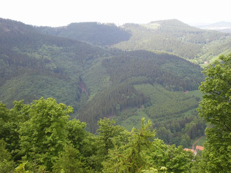 P6020125.JPG