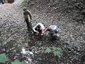 DSC00052