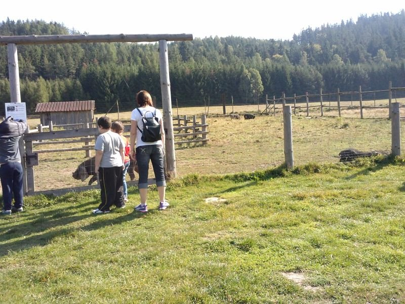 zoolaczna05
