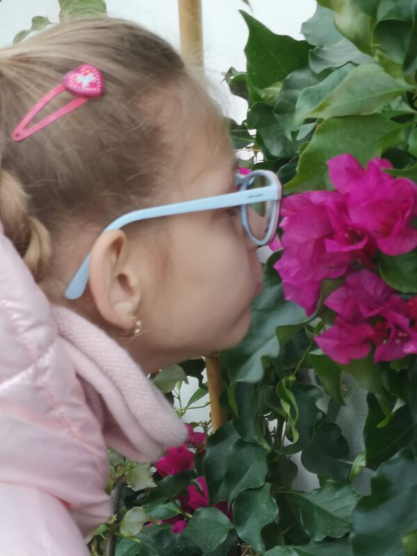 Zdjęcie przedstawia twarz  małej dziewczynki  widzianej z boku, dziewczynka ma okulary w jasnych oprawkach,przystawia nos do różowego kwiatostanu