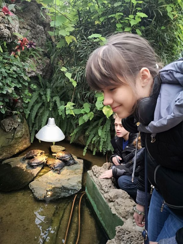 Zdjęcie przedstawia uśmiechniętą dziewczynkę uczesaną w warkocz oraz chłopca. W tle skupisko stłoczonych żółwi pod jasnym kloszem lampy, strumyk i bujna roślinność